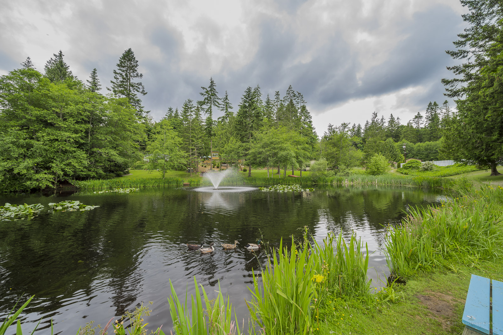 Lost Lake Homes For Sale Diemert Properties Group
